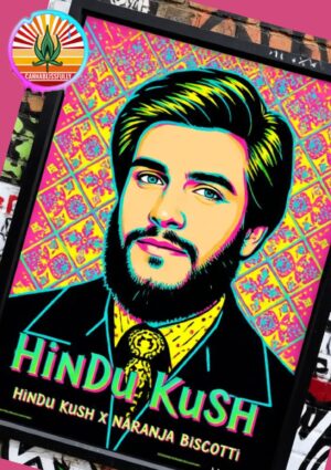 Hindu Kush X Naranja Biscotti - Competition pack - Photoperiod