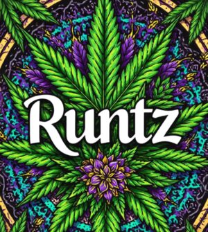 Runtz - Competition pack - Autoflower