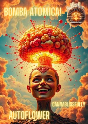 Bomba Atomica - Autoflower