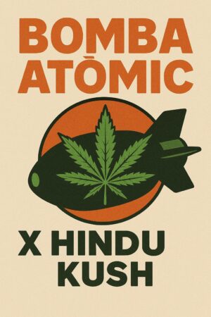 Bomba Atomic X Hindu Kush - Competition pack - Photoperiod