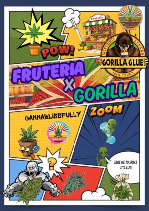Fruteria X Gorilla - Competition pack - Autoflower