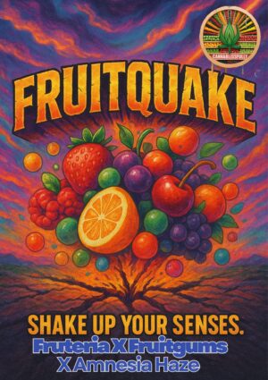 Fruitquake - Competition pack - Autoflower