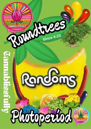 Randoms - Photoperiod
