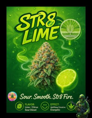 STR8 Lime - Competition pack - Autoflower