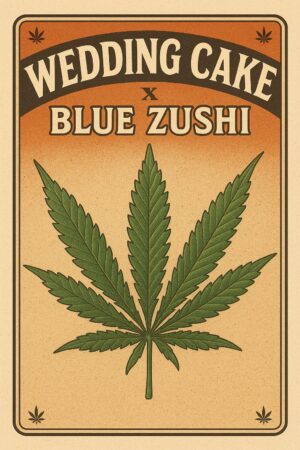 Wedding Cake X Blue Zushi - Competition pack - Photoperiod