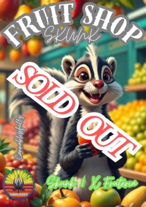 Fruit Shop X Skunk - Competition pack - Autoflower