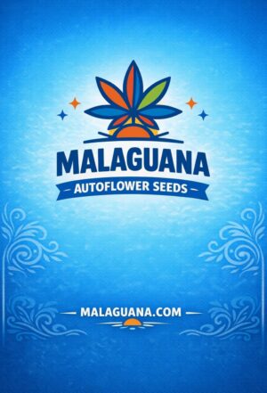 Autoflower