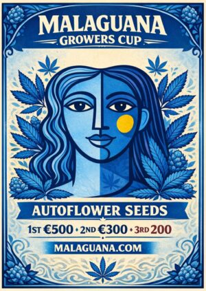 Málaga Autoflower competition packs
